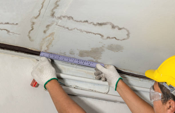 Reliable Water Removal contractor in Anson, TX by Water Damage Irwin